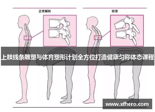 上肢线条雕塑与体育塑形计划全方位打造健康匀称体态课程