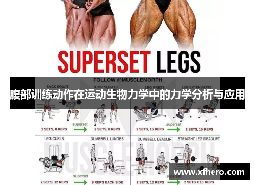 腹部训练动作在运动生物力学中的力学分析与应用