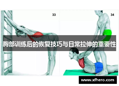 胸部训练后的恢复技巧与日常拉伸的重要性